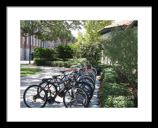 Row of Bicycles in the Sun - Framed Print