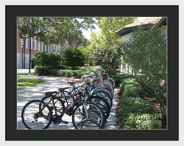 Row of Bicycles in the Sun - Framed Print