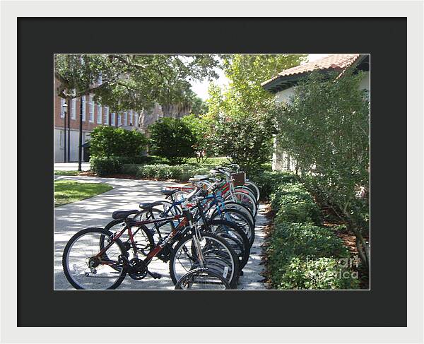 Row of Bicycles in the Sun - Framed Print