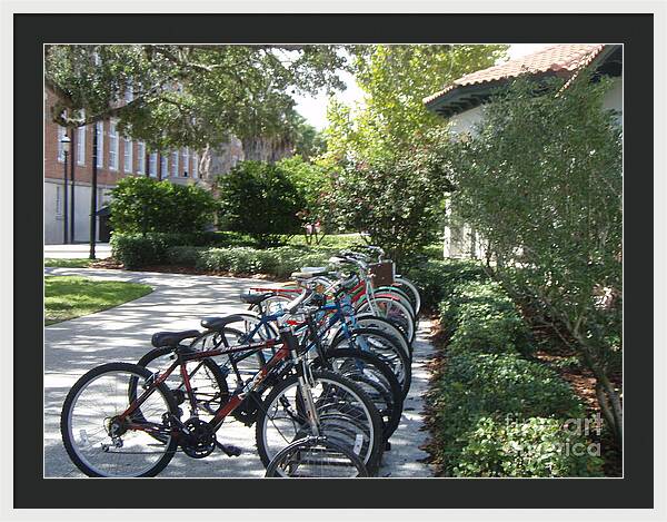 Row of Bicycles in the Sun - Framed Print