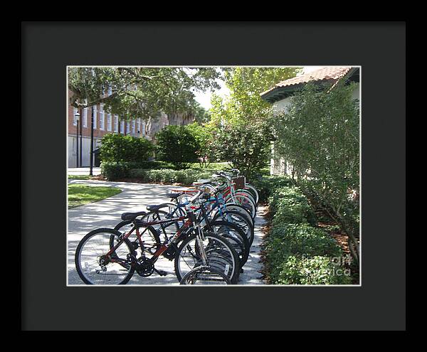 Row of Bicycles in the Sun - Framed Print
