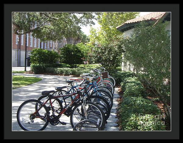 Row of Bicycles in the Sun - Framed Print