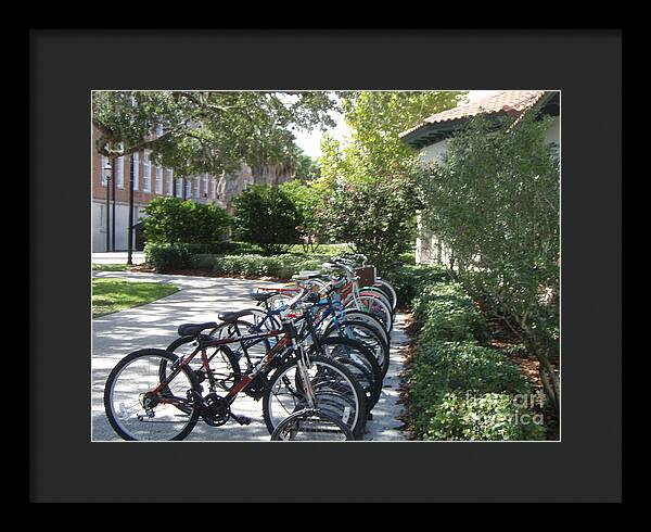 Row of Bicycles in the Sun - Framed Print