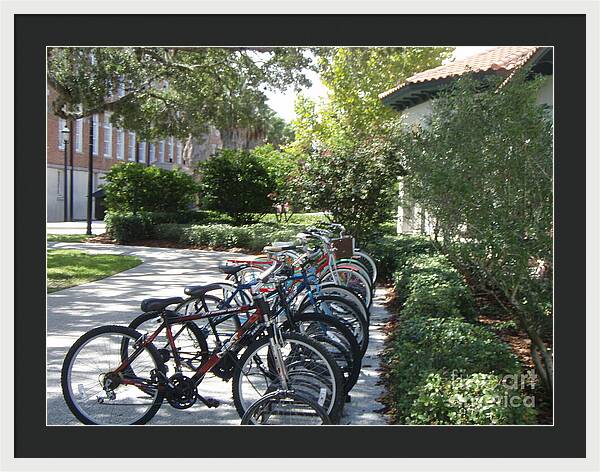 Row of Bicycles in the Sun - Framed Print