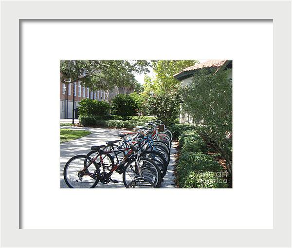 Row of Bicycles in the Sun - Framed Print