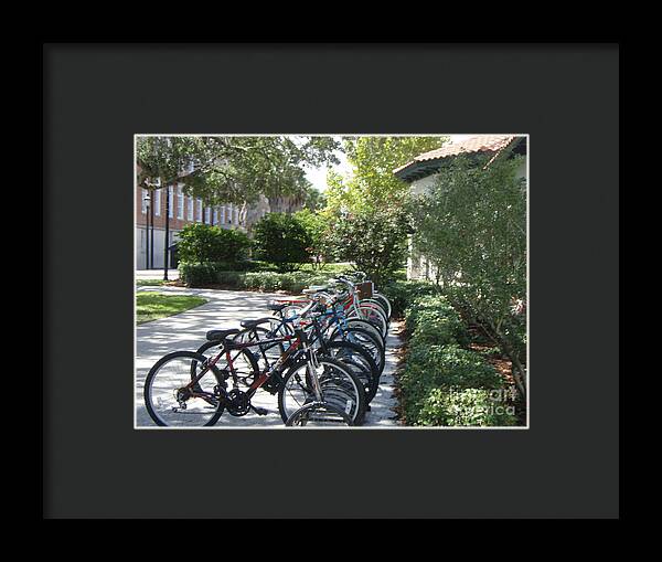 Row of Bicycles in the Sun - Framed Print