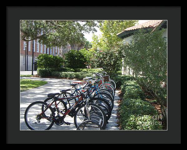 Row of Bicycles in the Sun - Framed Print