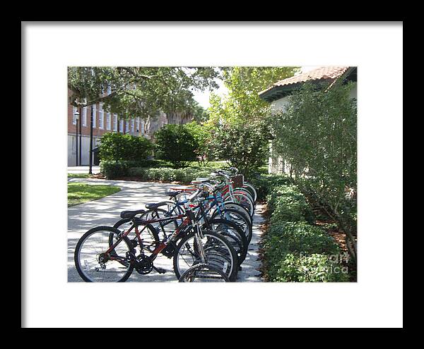 Row of Bicycles in the Sun - Framed Print