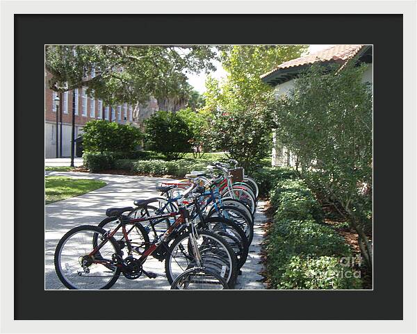 Row of Bicycles in the Sun - Framed Print
