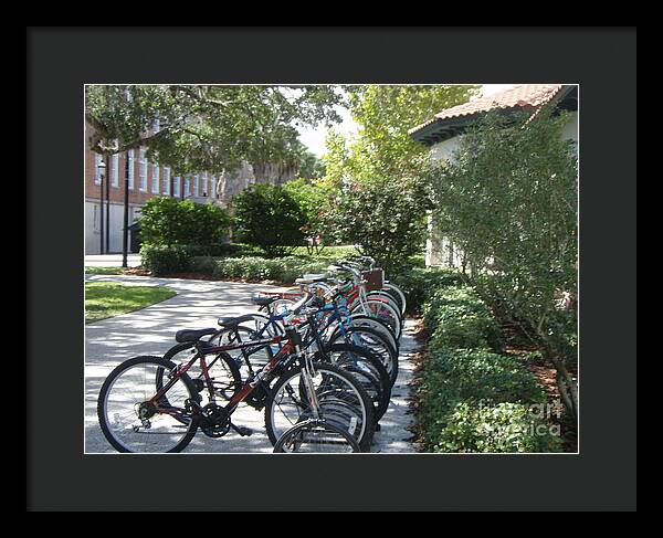 Row of Bicycles in the Sun - Framed Print