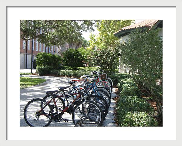 Row of Bicycles in the Sun - Framed Print