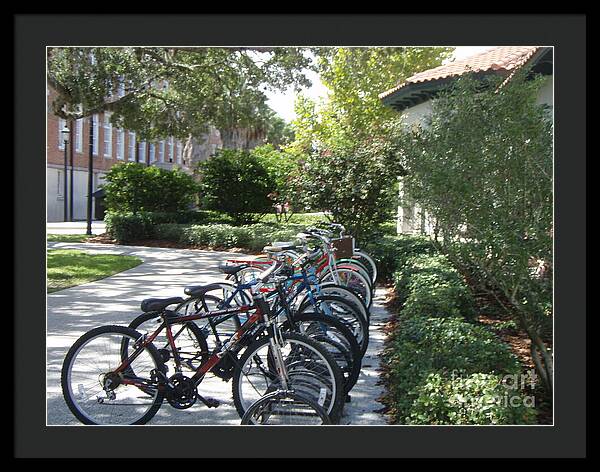 Row of Bicycles in the Sun - Framed Print