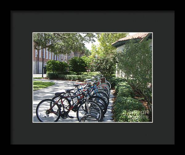 Row of Bicycles in the Sun - Framed Print