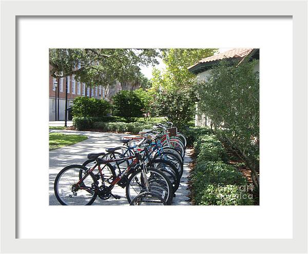 Row of Bicycles in the Sun - Framed Print