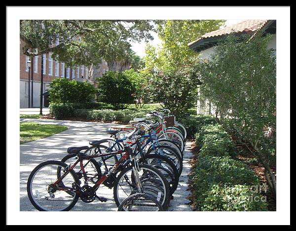 Row of Bicycles in the Sun - Framed Print