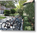 Row of Bicycles in the Sun - Metal Print