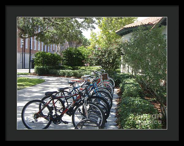 Row of Bicycles in the Sun - Framed Print