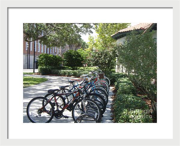 Row of Bicycles in the Sun - Framed Print