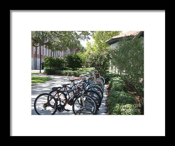Row of Bicycles in the Sun - Framed Print