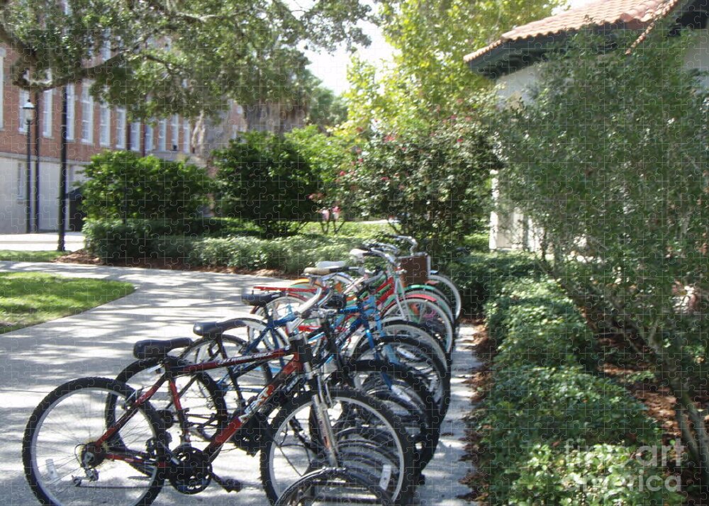 Row of Bicycles in the Sun - Puzzle