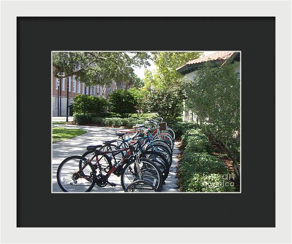 Row of Bicycles in the Sun - Framed Print