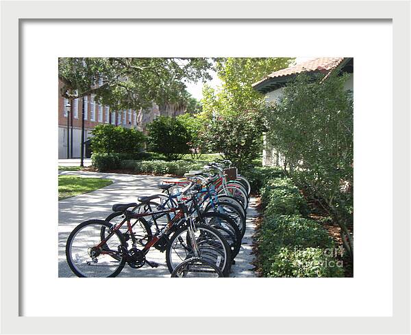 Row of Bicycles in the Sun - Framed Print
