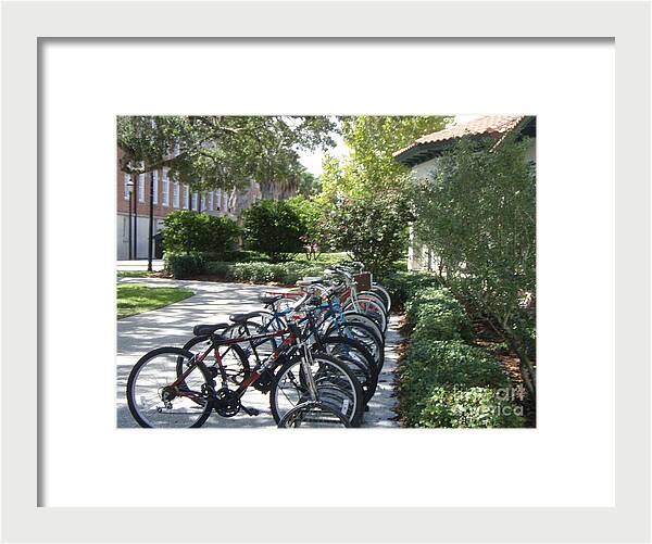 Row of Bicycles in the Sun - Framed Print