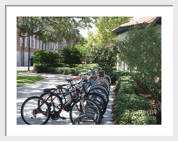 Row of Bicycles in the Sun - Framed Print