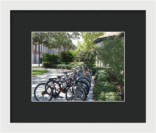 Row of Bicycles in the Sun - Framed Print