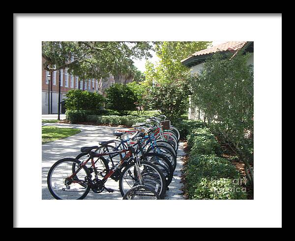 Row of Bicycles in the Sun - Framed Print