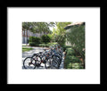 Row of Bicycles in the Sun - Framed Print