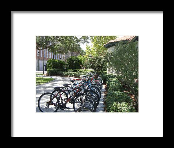 Row of Bicycles in the Sun - Framed Print