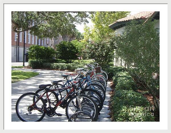 Row of Bicycles in the Sun - Framed Print