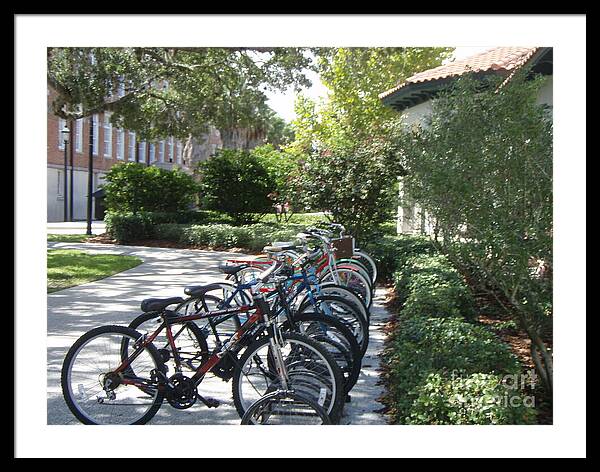Row of Bicycles in the Sun - Framed Print