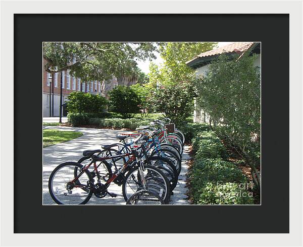 Row of Bicycles in the Sun - Framed Print
