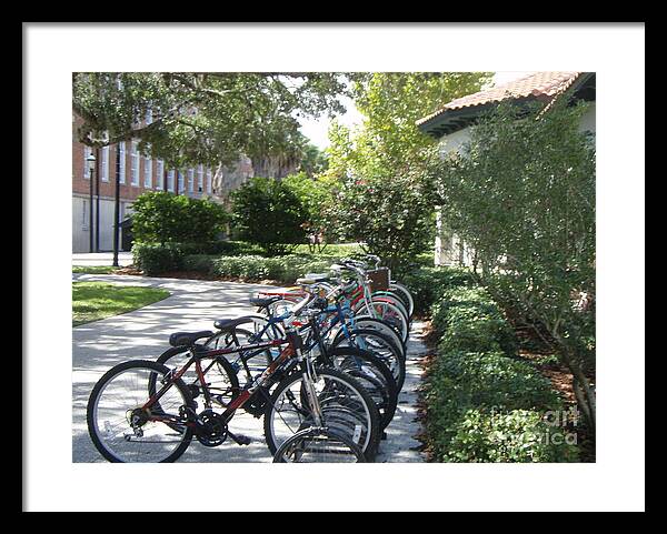 Row of Bicycles in the Sun - Framed Print