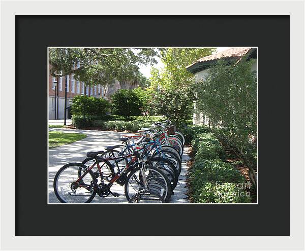 Row of Bicycles in the Sun - Framed Print