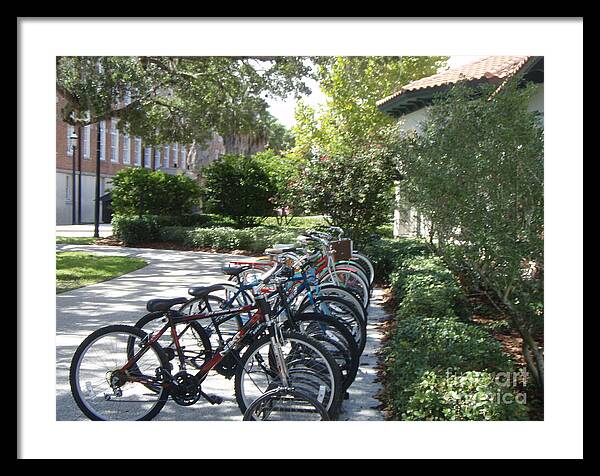 Row of Bicycles in the Sun - Framed Print
