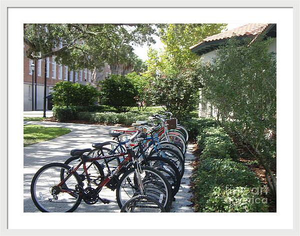 Row of Bicycles in the Sun - Framed Print
