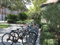 Row of Bicycles in the Sun - Puzzle