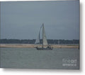 Sailboat on a Calm Sea - Metal Print