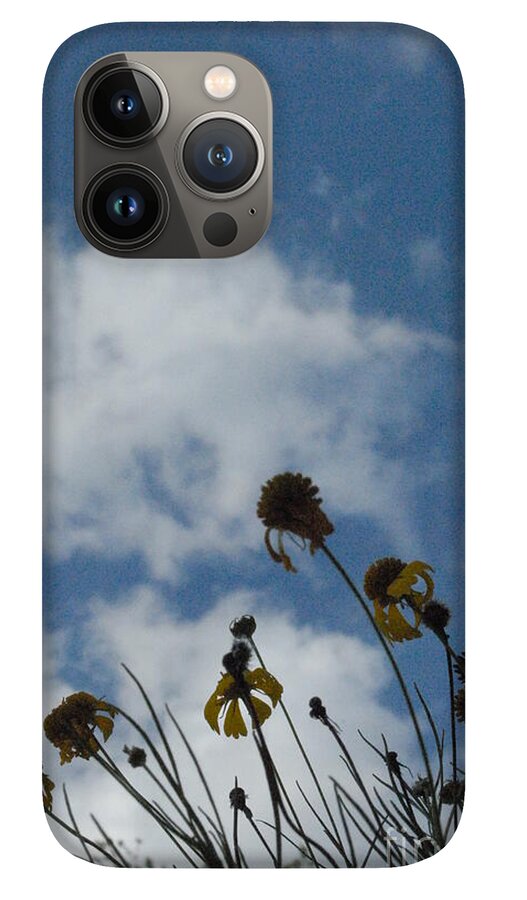 Silhouetted Wildflowers and Clouds - Phone Case