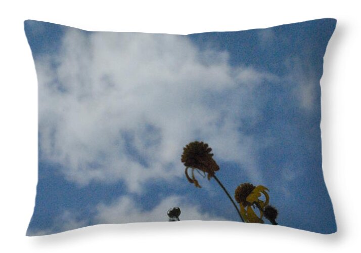 Silhouetted Wildflowers and Clouds - Throw Pillow