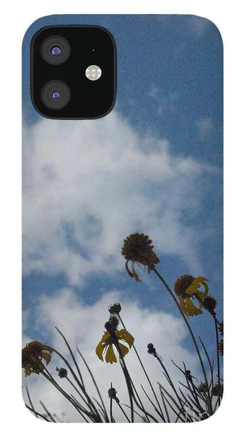 Silhouetted Wildflowers and Clouds - Phone Case