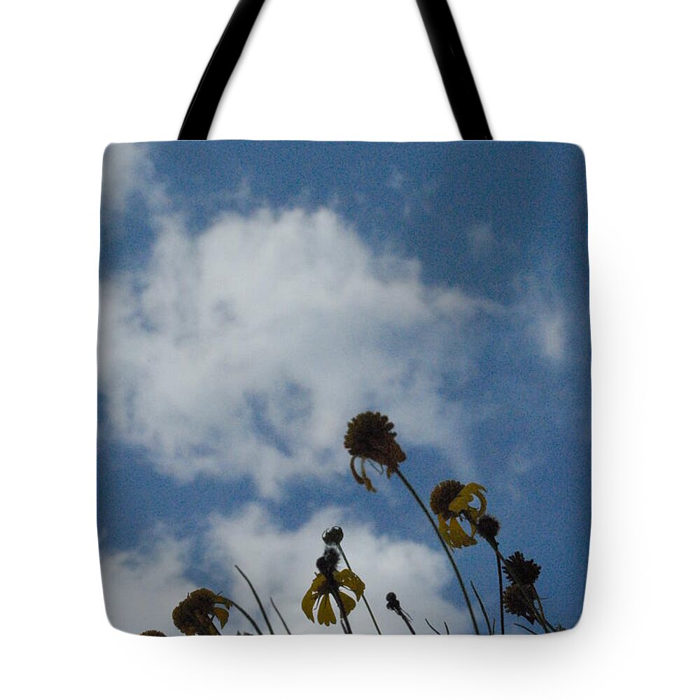 Silhouetted Wildflowers and Clouds - Tote Bag