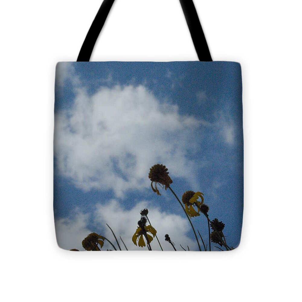 Silhouetted Wildflowers and Clouds - Tote Bag