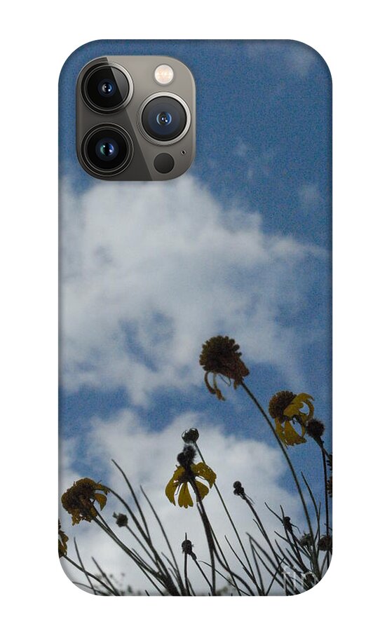 Silhouetted Wildflowers and Clouds - Phone Case