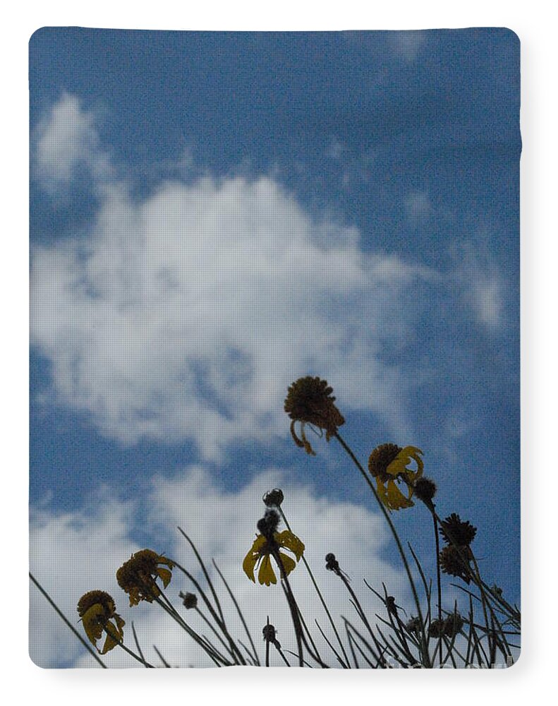 Silhouetted Wildflowers and Clouds - Blanket