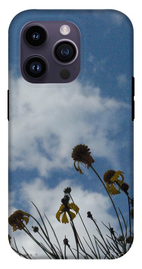 Silhouetted Wildflowers and Clouds - Phone Case