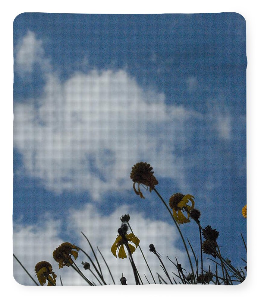 Silhouetted Wildflowers and Clouds - Blanket